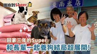 和長輩養狗結局超展開回家三年的SUPER過得如何