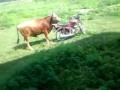 kahuta hajji haq nawaz