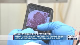 Famous USDA using smartphones to grade beef with launch of new pilot program Net Worth