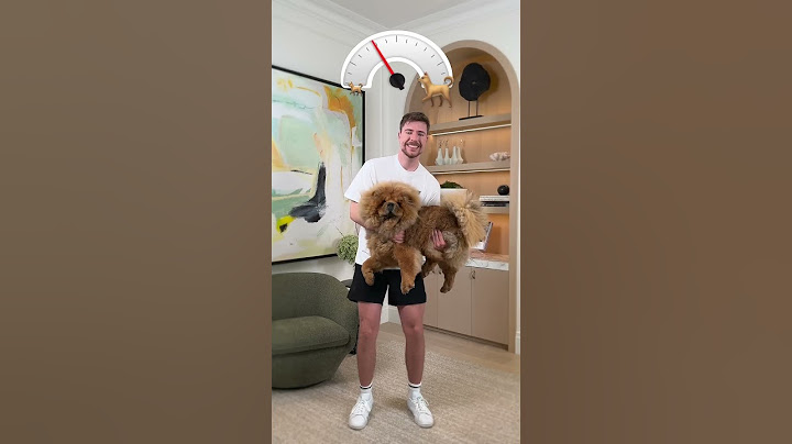 Holding bigger and bigger Dogs 🐕