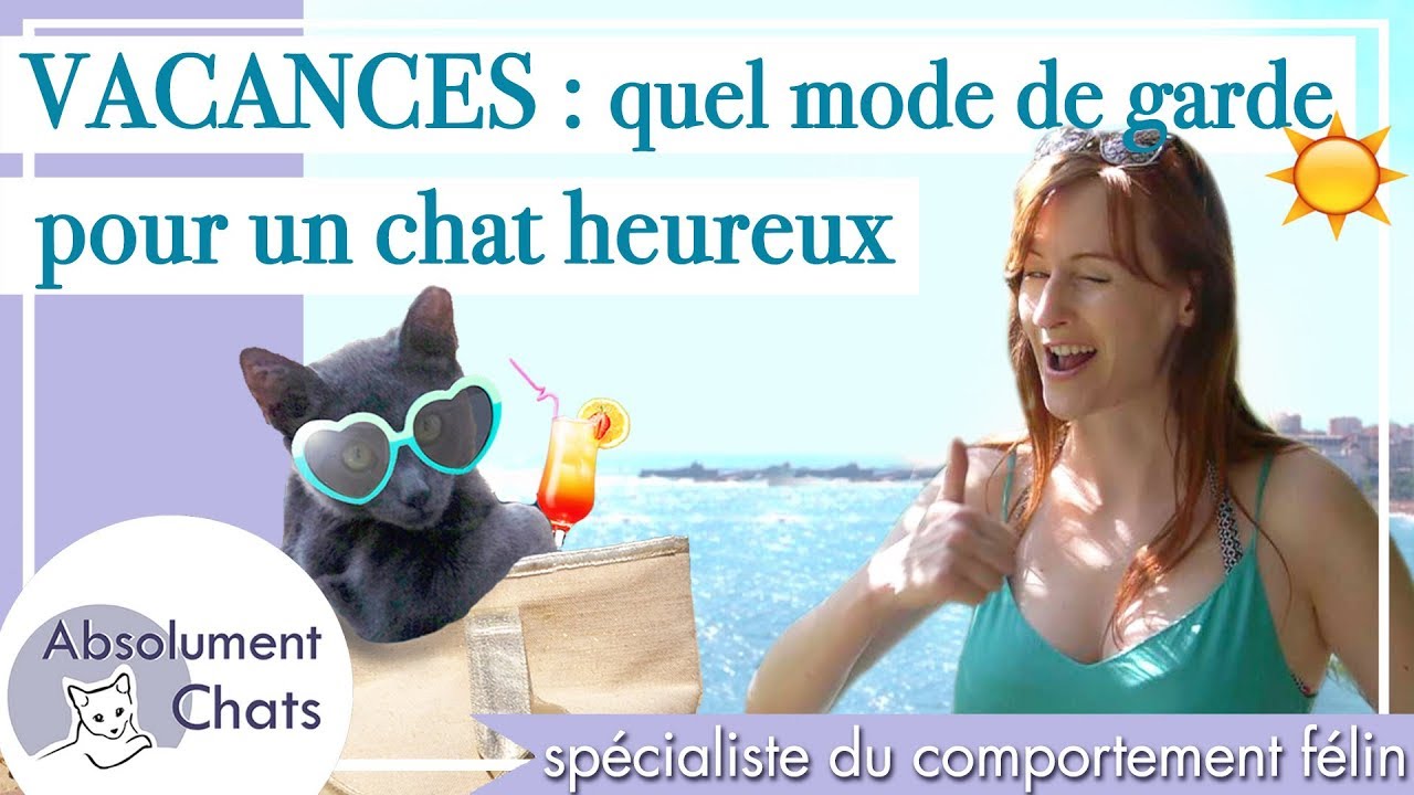 Vacances Quel Mode De Garde Pour Notre Chat