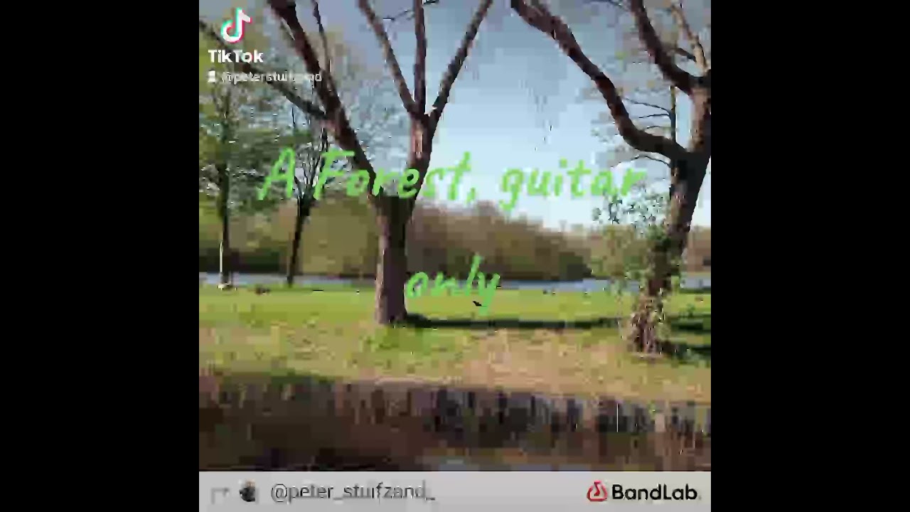 A Forest,  guitar only