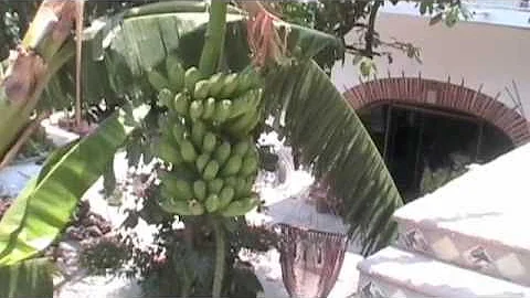 Casa De Socorro