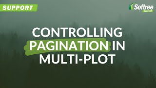 Controlling Pagination in RoadEng's Multi-Plot