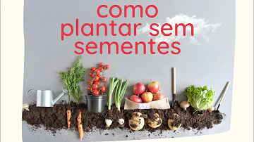 É possível plantar sem sementes?
