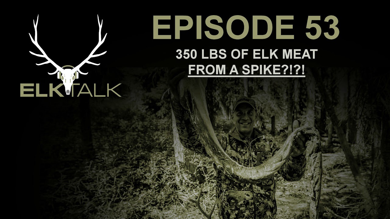 350 lbs of Elk Meat from a Spike ?!?! (Elk Talk Podcast EP 53) - YouTube