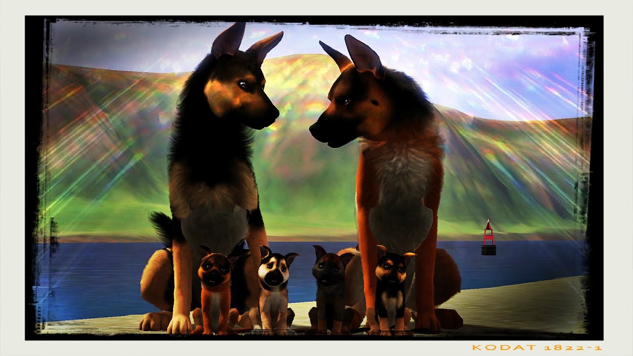 German Shepherd Improved by LittleV - The Sims 3