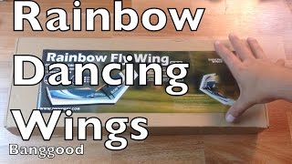 DW HOBBY Rainbow 800mm Wingspan EPP Flying Wing- Banggood