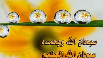 تلاوة خاشعة سورة الإسراء الشيخ عبدالولي الأركاني www.qoranet.net