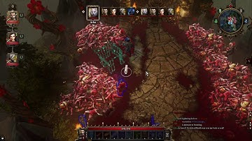 [Divinity: Original Sin - EE] Cat cage glitch