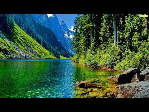 Rahatlatıcı nehir ve doğa görüntüleri| Relaxing river and nature sound