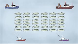 Fisheries Economics & Policy: Intro to Fisheries Management