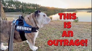 Reuben the Bulldog: Pizza Injustice