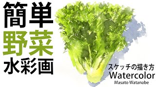 簡単野菜スケッチ レタス 初歩の水彩画 Watercolor 描き方 Masato