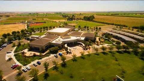 Kizoa Video Editor - Movie Maker: Bird