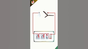 1 Switch 1 Regulator 2 Socket Connection | Electric Board Wiring #shorts #youtubeshorts