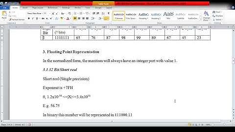 NDP 8087 Data Type examples