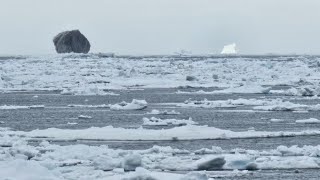 Possible Origins of an Extremely Rare Black Iceberg Spotted off Labrador