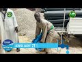 Jafe-Jafe Ndox ci Tuubaa: Touba Ca Kanam démarre avec un lot de matériel de plomberie