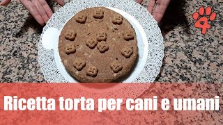 Torta per cani: ricette e consigli