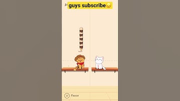 NOOB vs PRO vs HACKER - Duet Cats