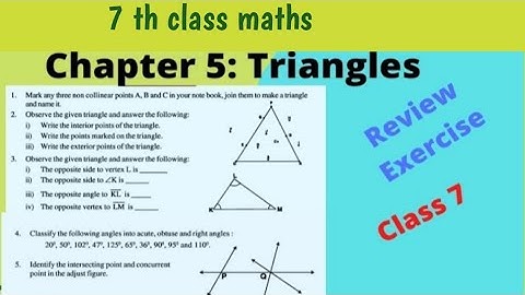 Ap new 7 th class maths, Triangles Class 7, Review Exercise,7 th class triangles