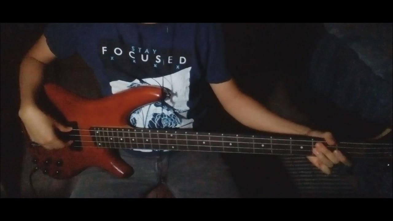 Red Hot Chili Peppers Quixoticelixer (bass cover) YouTube