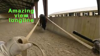 How to longline a horse for beginners(safety and tips)