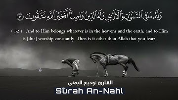 مـا أجملها تلاوه ترق لها القلوب | وديـع اليمنـي 🤍