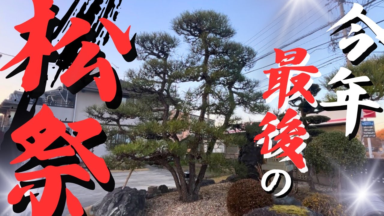 松剪定】ビフォーアフター集で締めくくり〜サラッと見てね