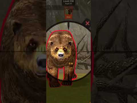 Animal hunter #games #gaming #gameplay #huntergames #hunters
