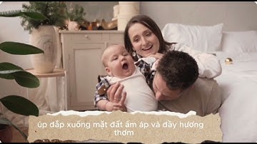 tập đọc cuộc phiêu lưu của bồ công anh lớp 4 #cuocphieuluucuaboconganh #tapdoc #lop4