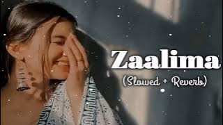 Zaalima [Slowed Reverb] Arijit Singh | Lofi Song | Prashant