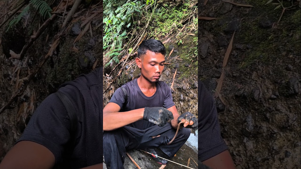 HARI INI KITA NGAJUJUL SIDAT #mancing #umpanlumutsawah #mancingmania #fishing #umpanikanmasjitu
