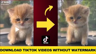 How to Remove Watermark from Tiktok Video in 1 Minute (SIMPLE) screenshot 4