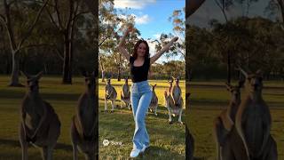kangaroos Surprise They Imitate Her Dance Moves 