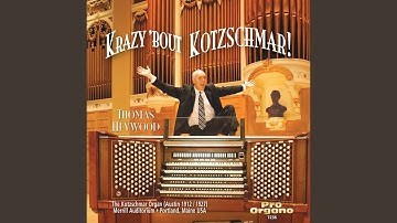 Organ Sonata No. 1 in D Minor, Op. 42: I. Introduction et Allegro