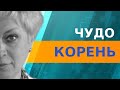 Антицеллюлитное обертывание с имбирем и перцем