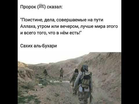 Нашид путь слëз. Нашид со словами и песнями фото. Нашид текст. Нашид как я могу забыть об этом. Путь слёз мухаммад мукит.