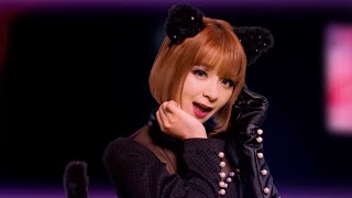 【MV】GARNiDELiA「猫の城」