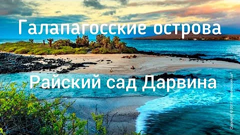 Неизведанные острова. Галапагосские острова. Райский сад Дарвина.