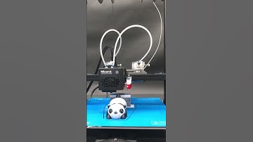 Panda Printed by Mizar M Separate Color Print Head