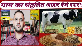 गाय  का संतुलित आहार कैसे बनाएं, व प्रतिदिन कितनी डोज देनी चाहिए!|Cow ka Santulit Aahar kase banaye