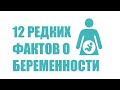 12 фактов о беременности