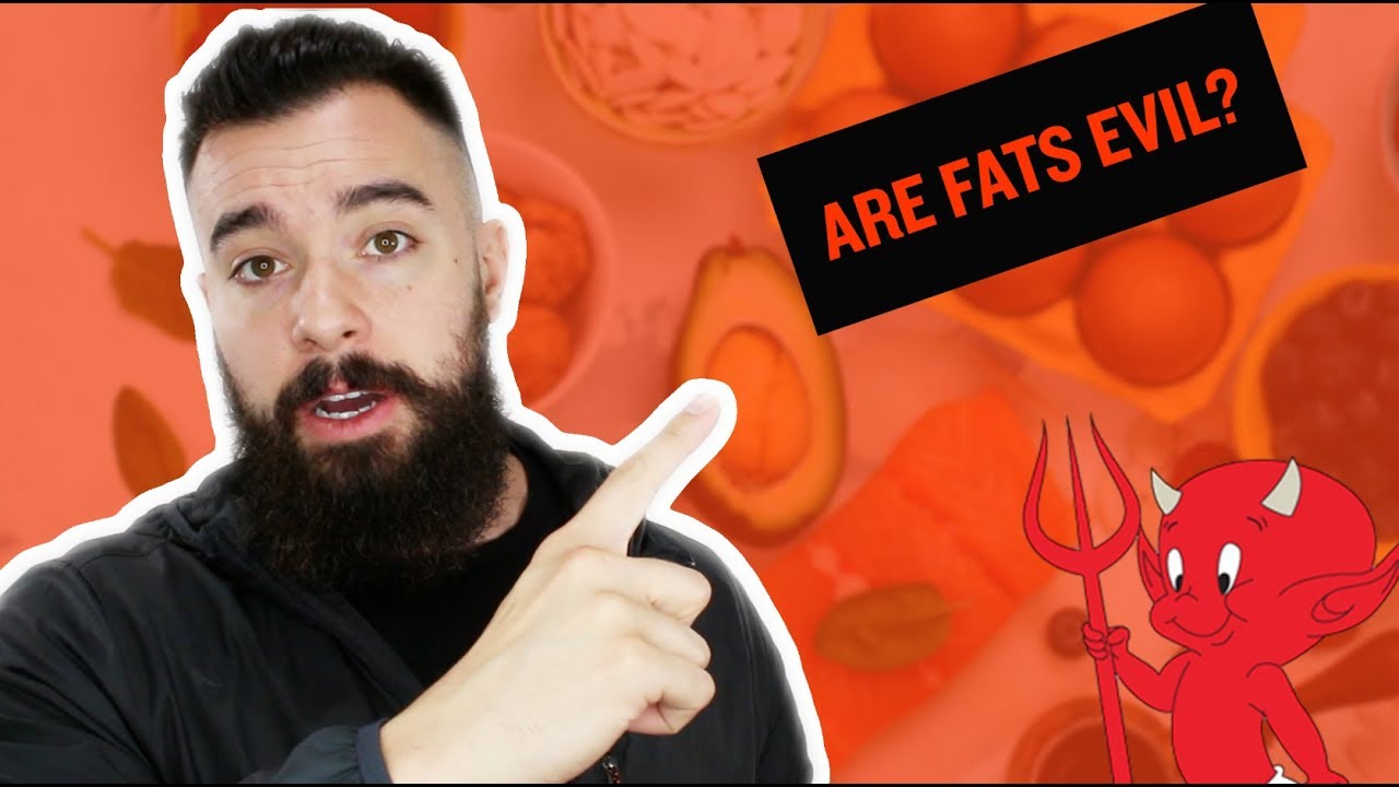 DO FATS CAUSE INSULIN RESISTANCE YouTube