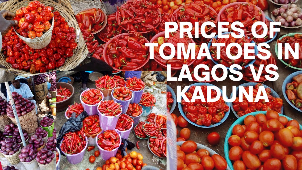 Kaduna Food Market Prices of Tomatoes In Lagos vs Kaduna YouTube