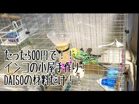 500円で鳥小屋手作り Youtube