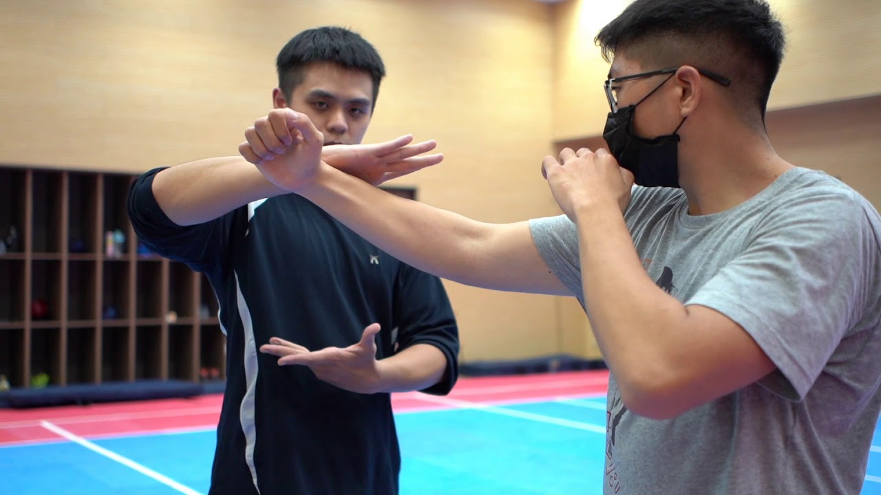 小談八卦掌與單換掌基本觀念  some basic idea of bagua zhang [內家小哥的形意拳與八卦掌世界]