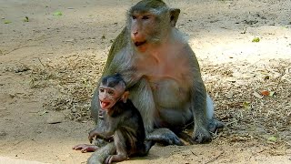 OMG..Jiva is smart called mom Jazzy loudly until Loni lost mind and she left her own ability.