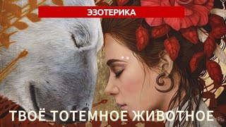 #тарорасклад ‼️ТВОЁ ТОТЕМНОЕ ЖИВОТНОЕ: есть связь или нет, что хочет передать